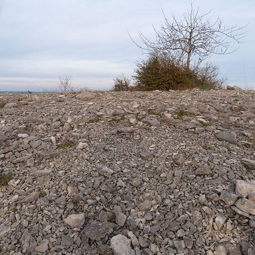 Dolmen et tumulus du Genevrier