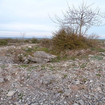 Dolmen et tumulus du Genevrier