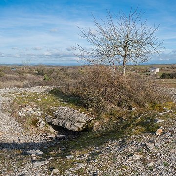 Dolmen et tumulus du Genevrier