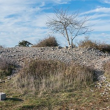Dolmen et tumulus du Genevrier