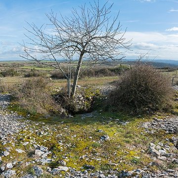 Dolmen et tumulus du Genevrier