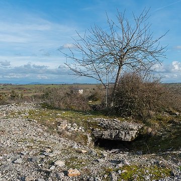 Dolmen et tumulus du Genevrier