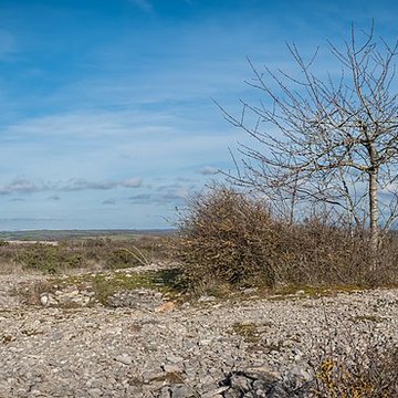 Dolmen et tumulus du Genevrier