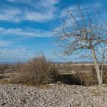 Dolmen et tumulus du Genevrier