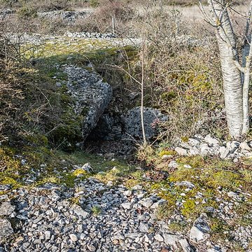 Dolmen et tumulus du Genevrier