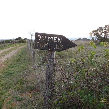 Dolmen et tumulus du Genevrier