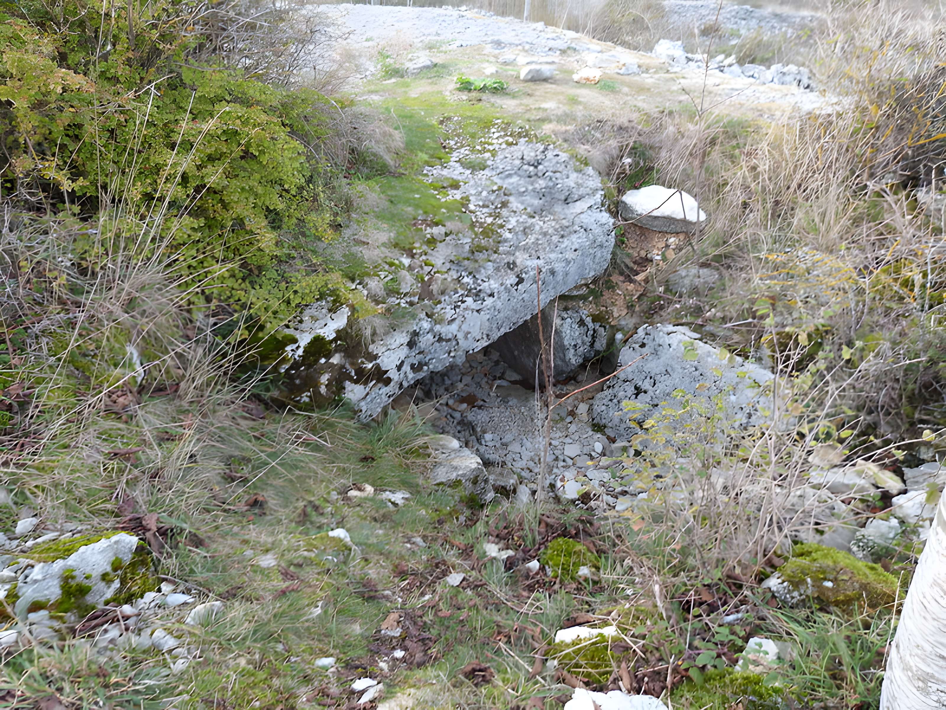 Dolmen et tumulus du Genevrier