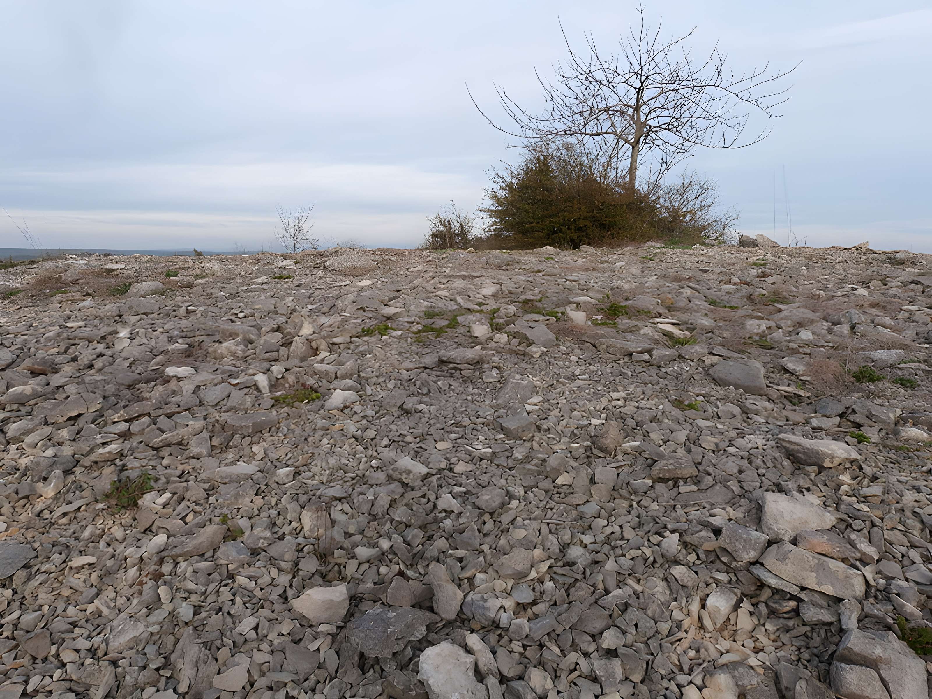 Dolmen et tumulus du Genevrier