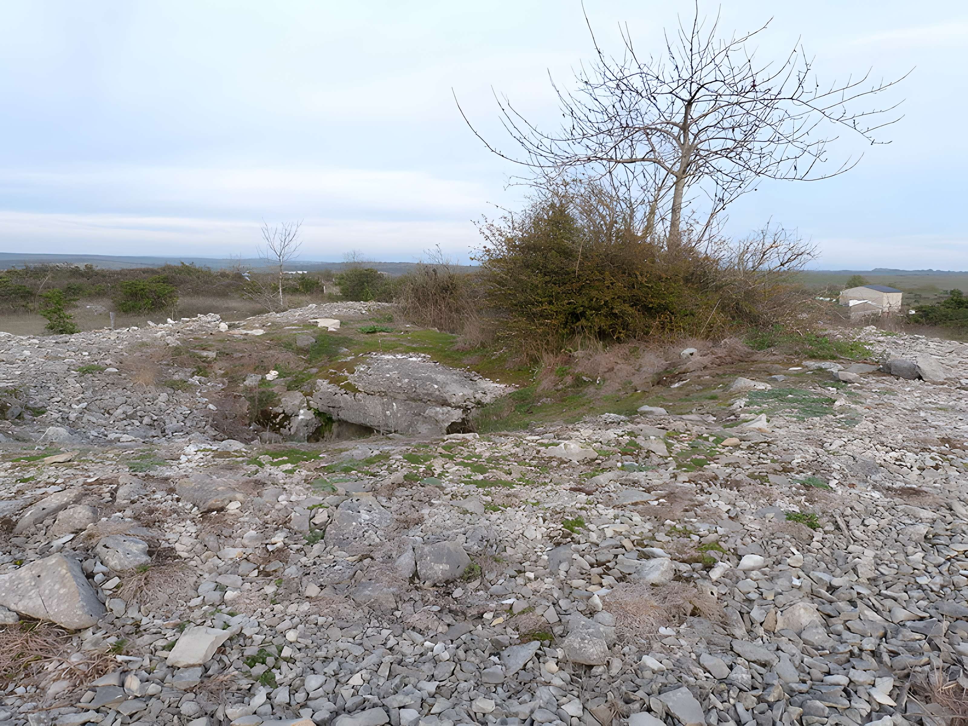 Dolmen et tumulus du Genevrier
