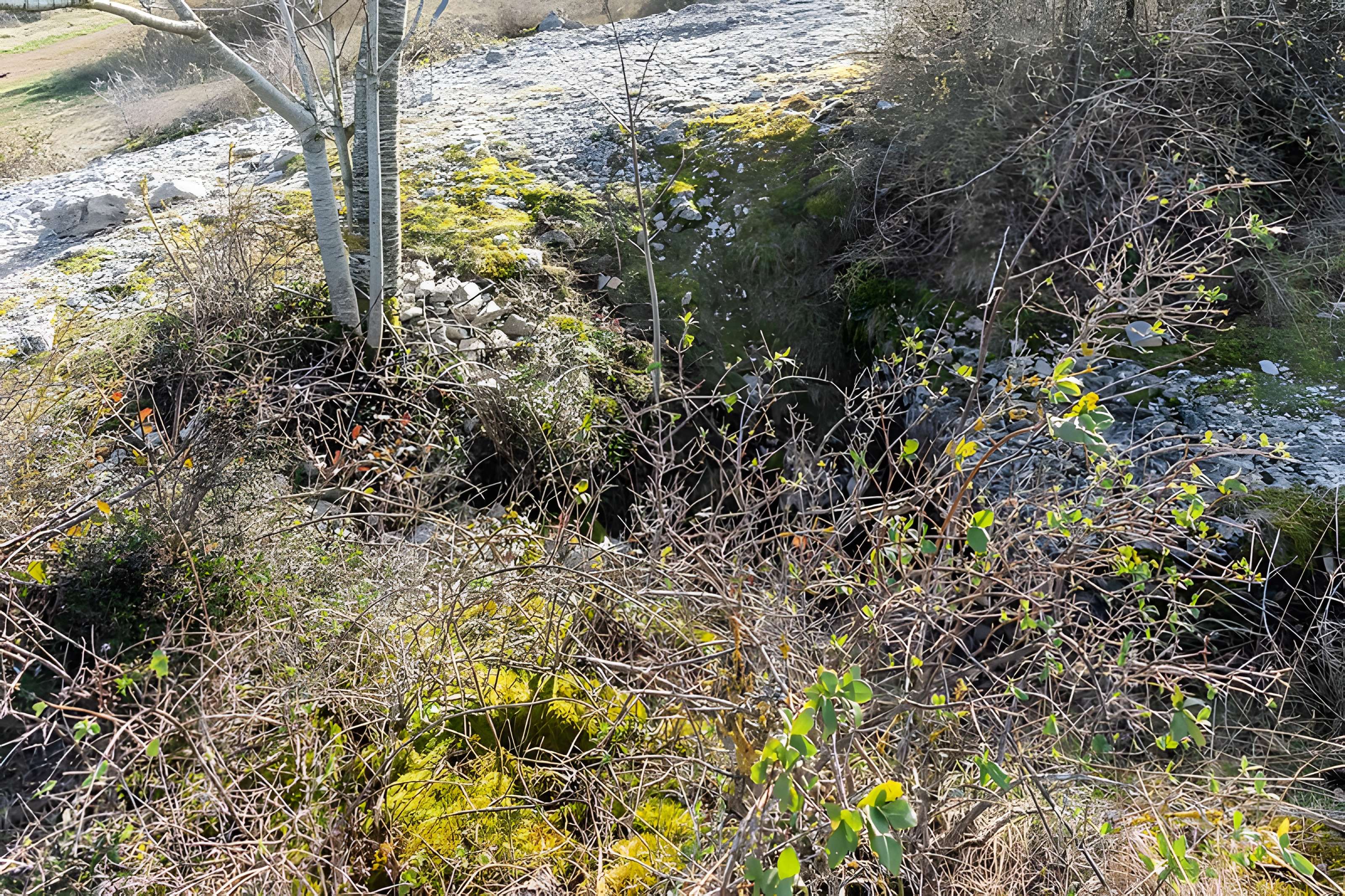 Dolmen et tumulus du Genevrier