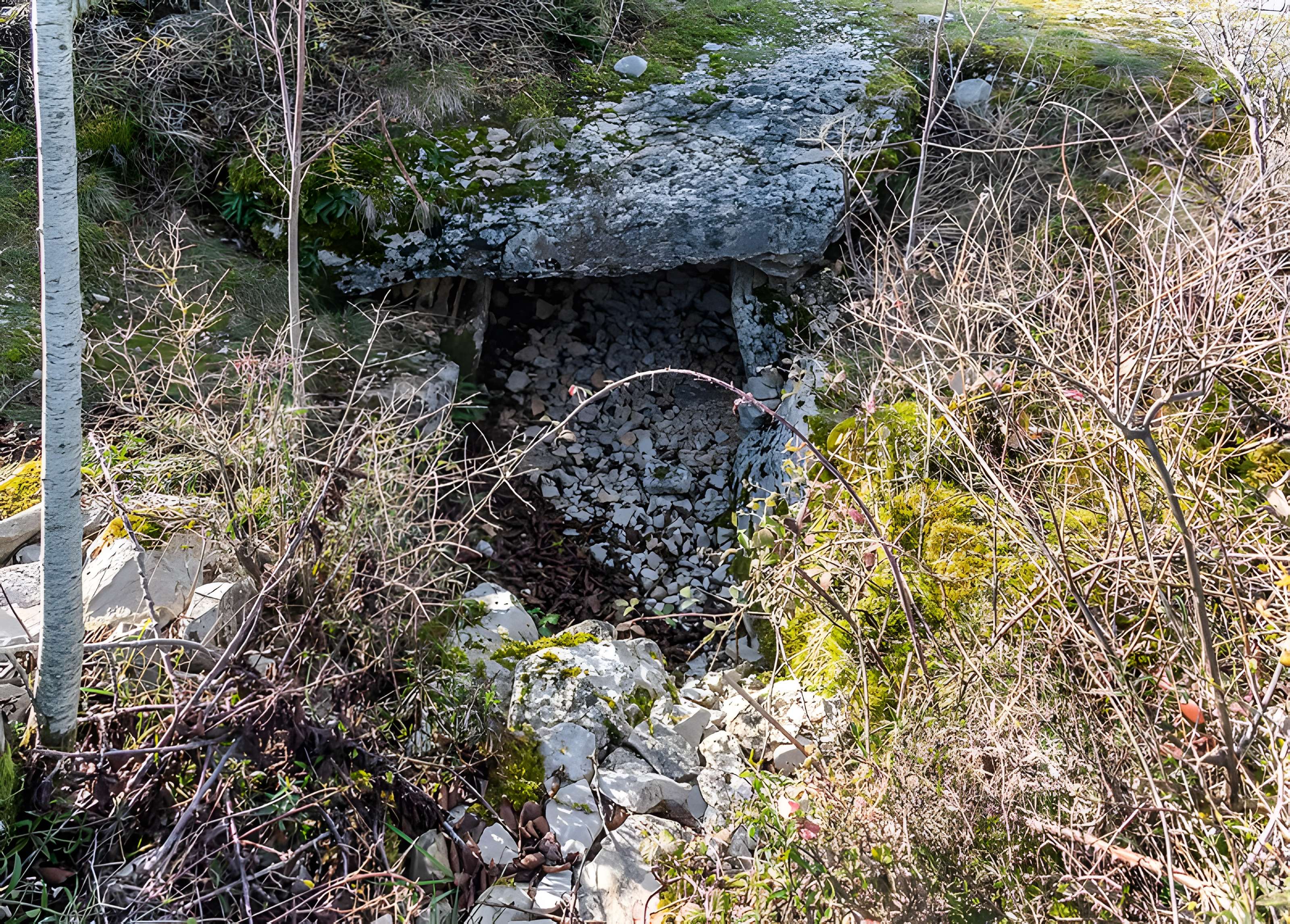 Dolmen et tumulus du Genevrier