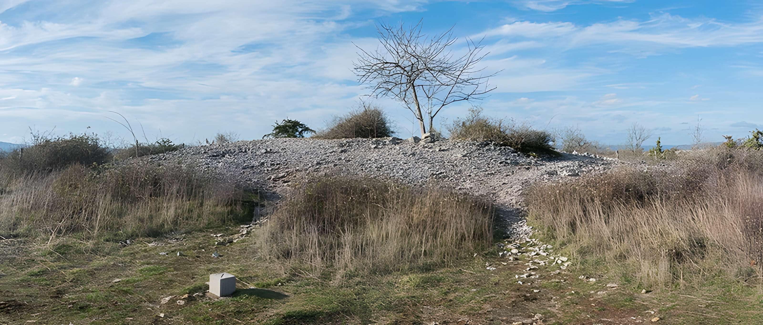Dolmen et tumulus du Genevrier