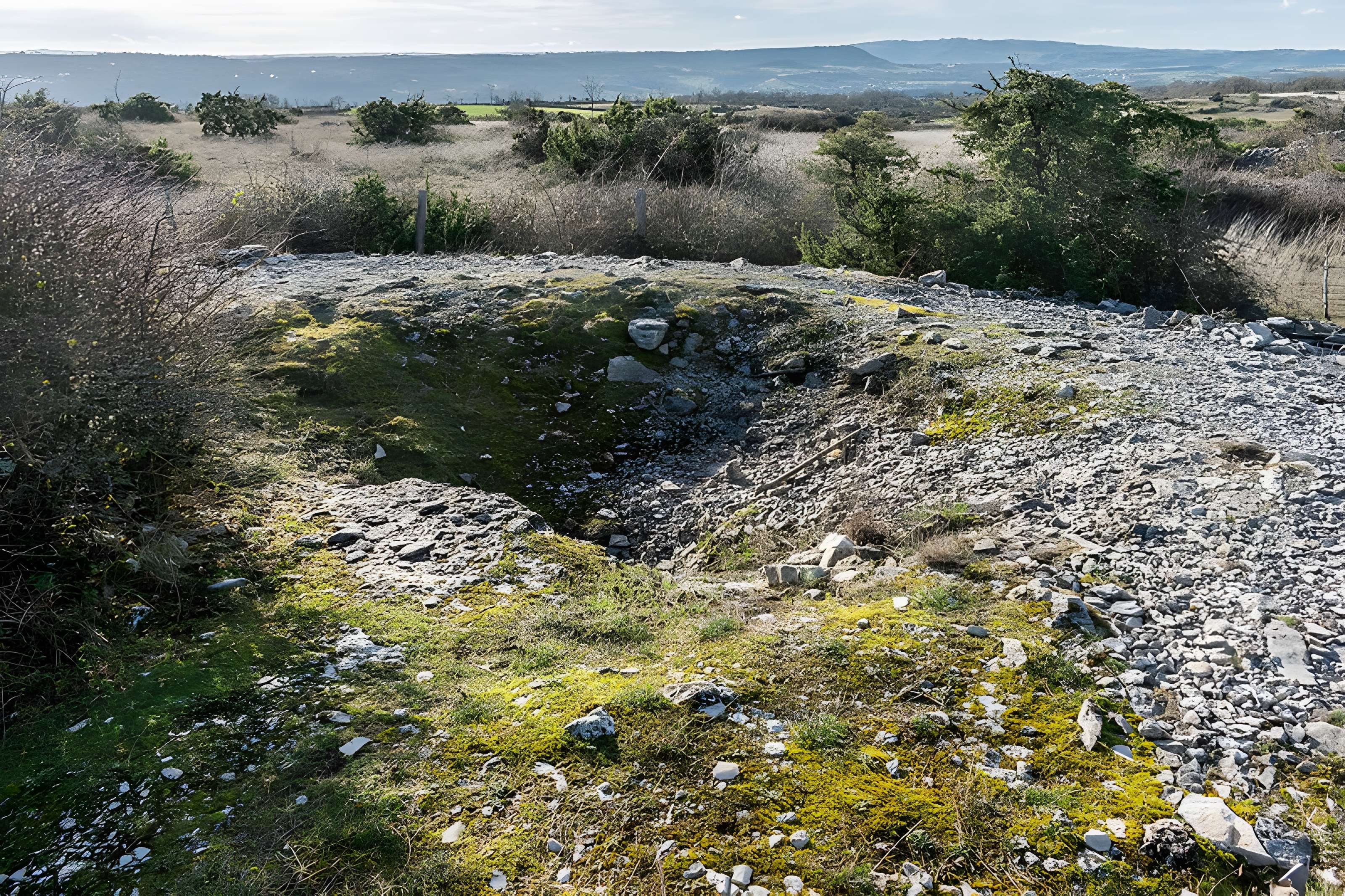 Dolmen et tumulus du Genevrier