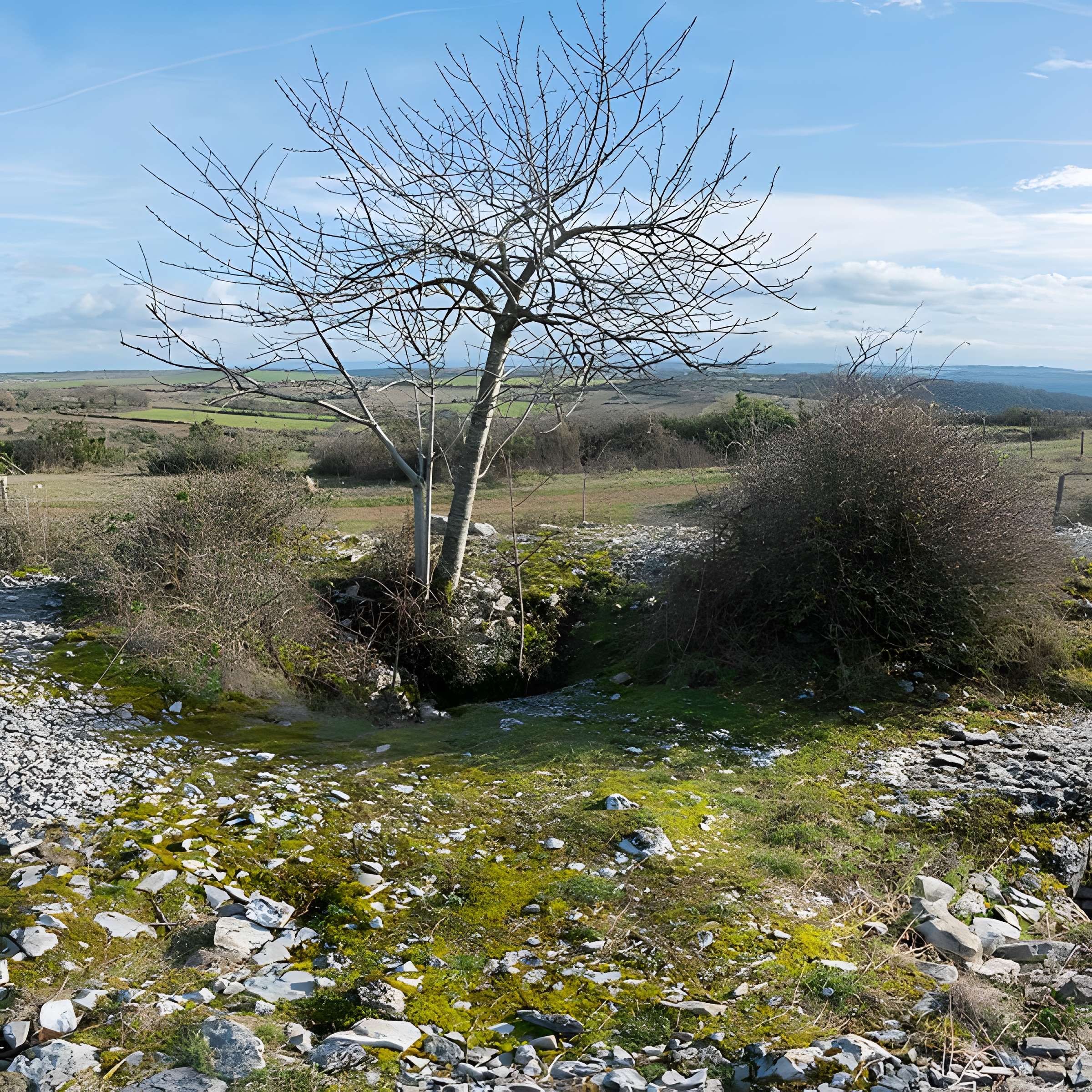 Dolmen et tumulus du Genevrier