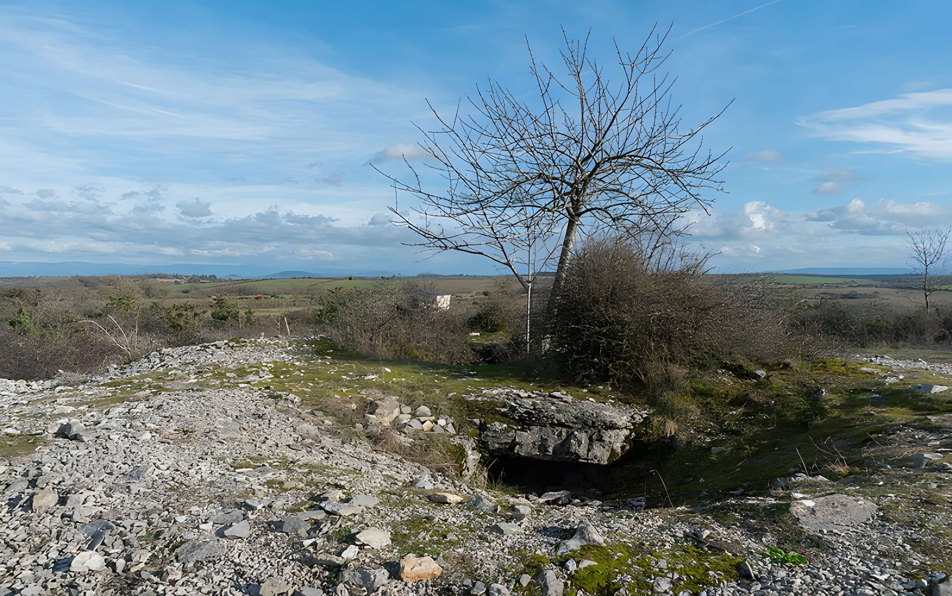 Dolmen et tumulus du Genevrier