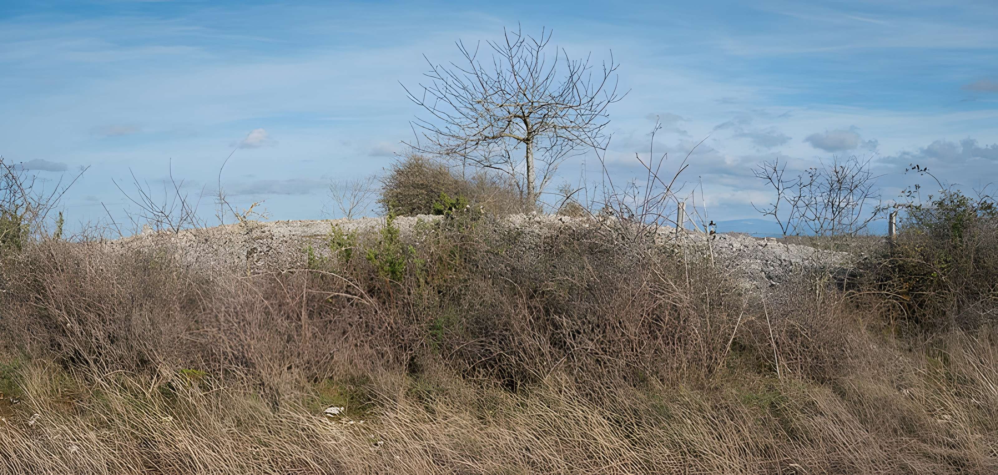 Dolmen et tumulus du Genevrier