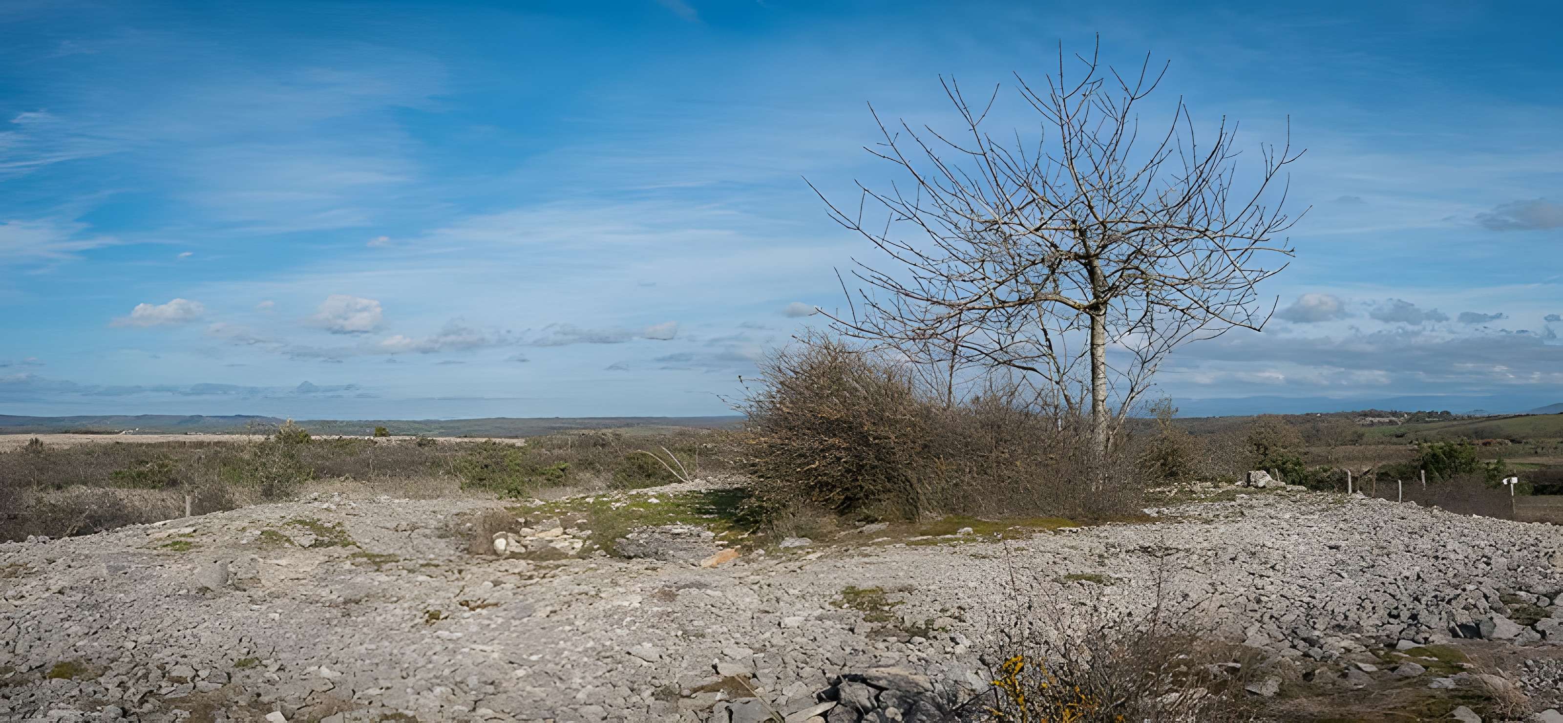 Dolmen et tumulus du Genevrier
