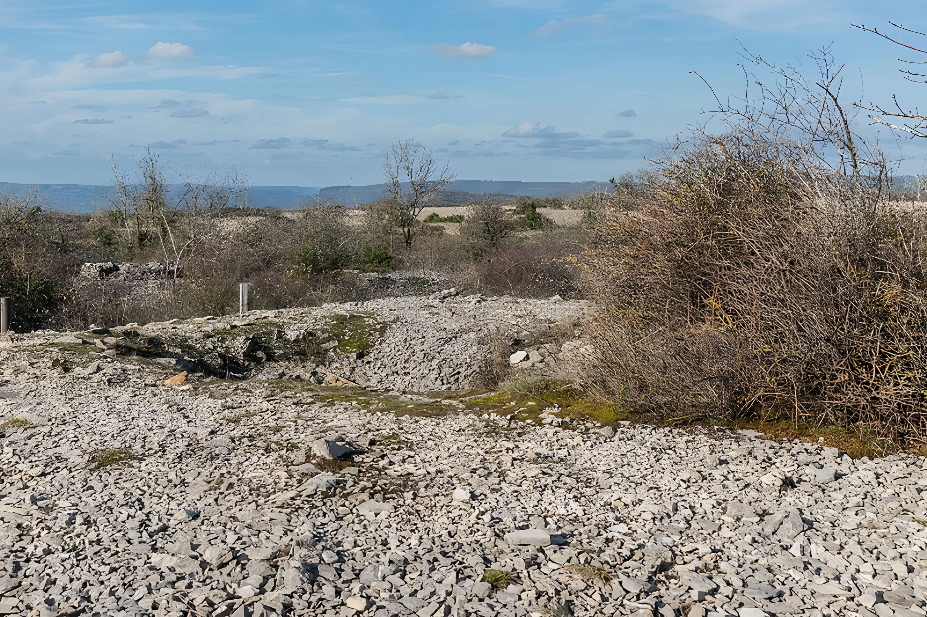 Dolmen et tumulus du Genevrier