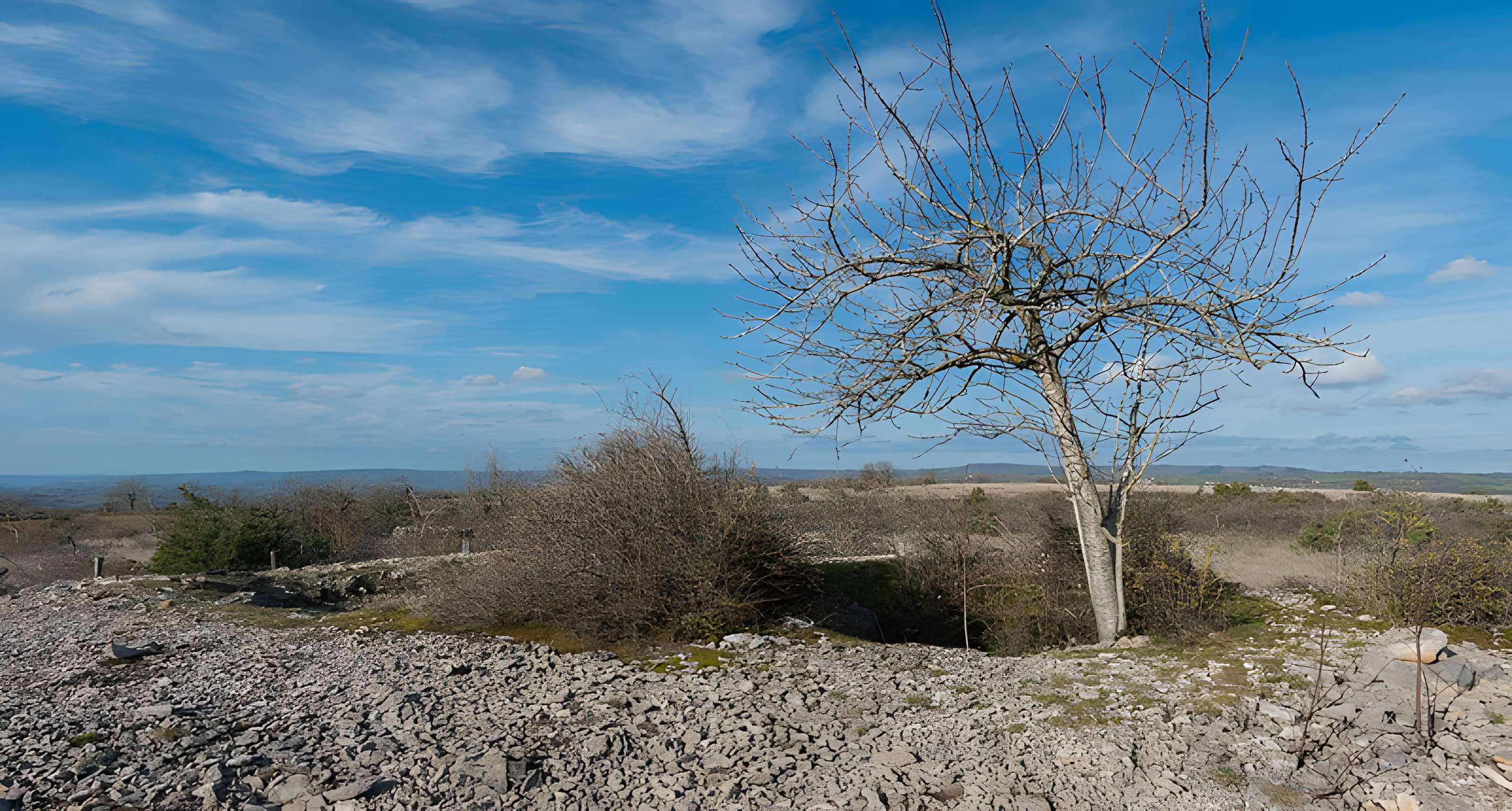 Dolmen et tumulus du Genevrier