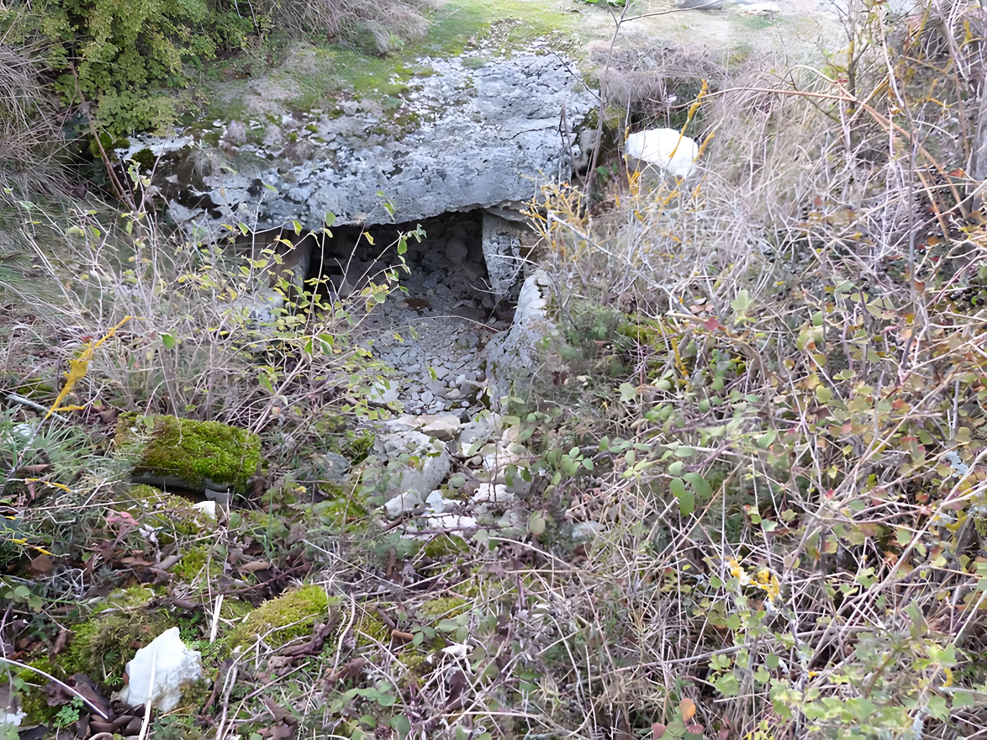 Dolmen et tumulus du Genevrier