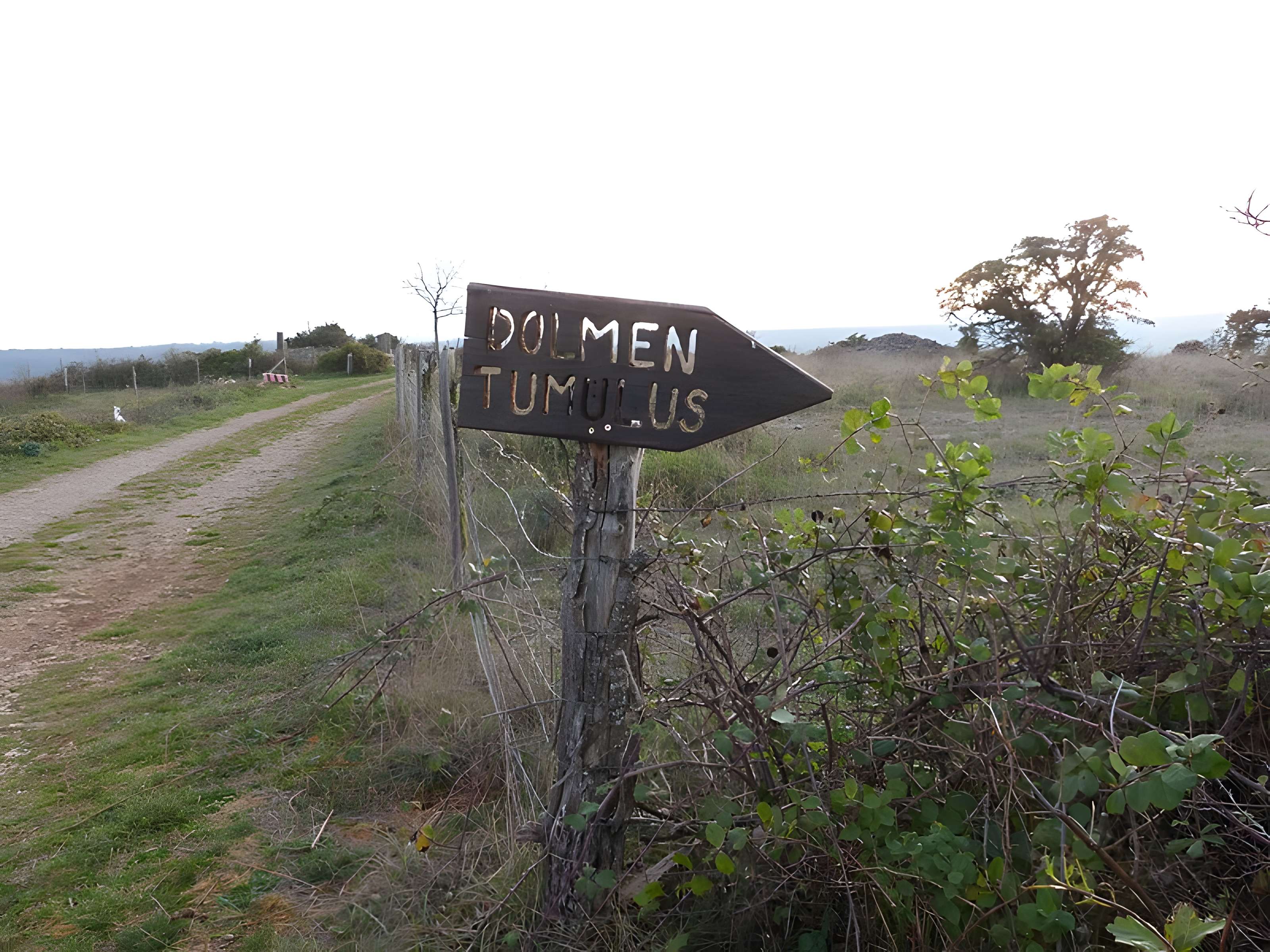 Dolmen et tumulus du Genevrier