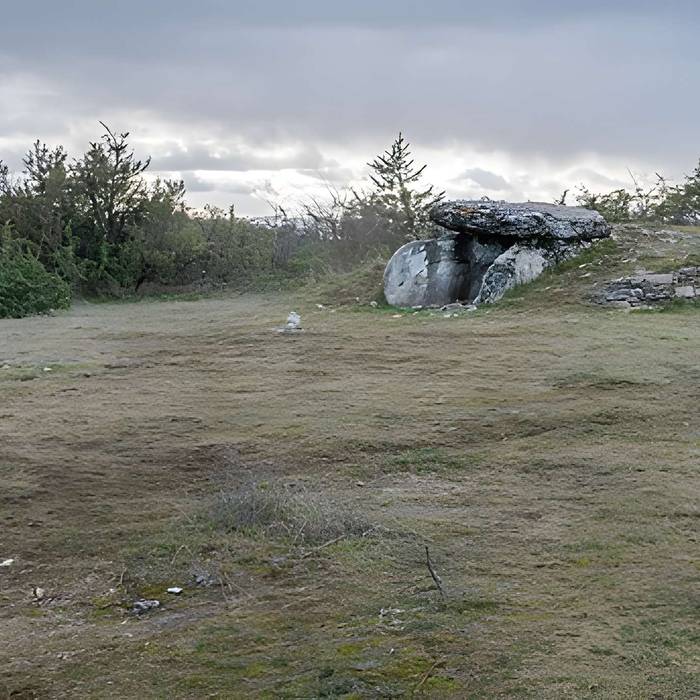 Photo de Site archéologique du dolmen I de Montaubert