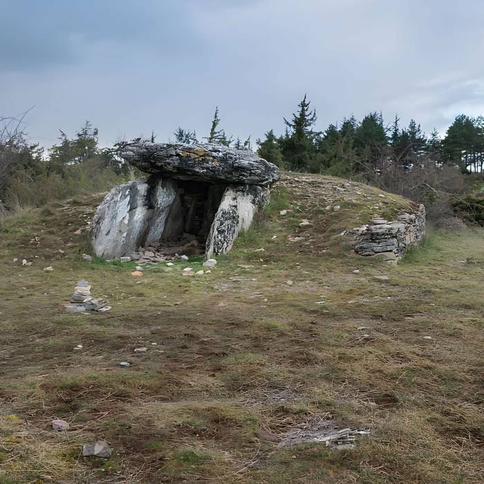 Photo de Site archéologique du dolmen I de Montaubert