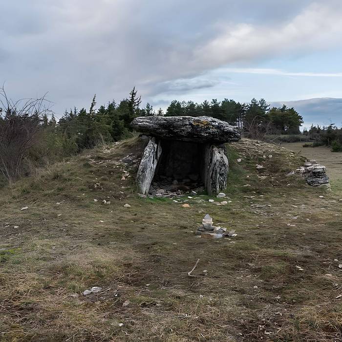 Photo de Site archéologique du dolmen I de Montaubert