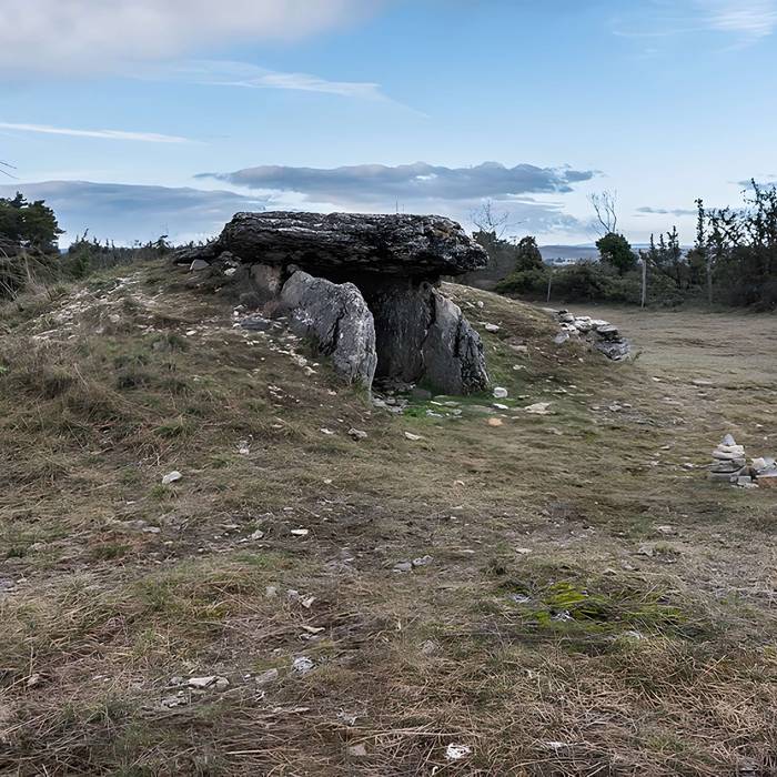 Photo de Site archéologique du dolmen I de Montaubert
