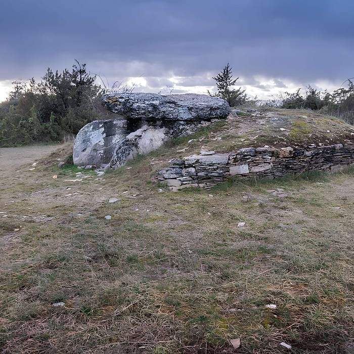Photo de Site archéologique du dolmen I de Montaubert