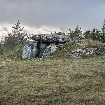 Site archéologique du dolmen I de Montaubert