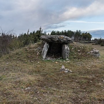 Site archéologique du dolmen I de Montaubert