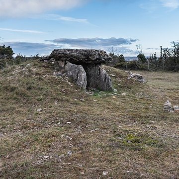 Site archéologique du dolmen I de Montaubert