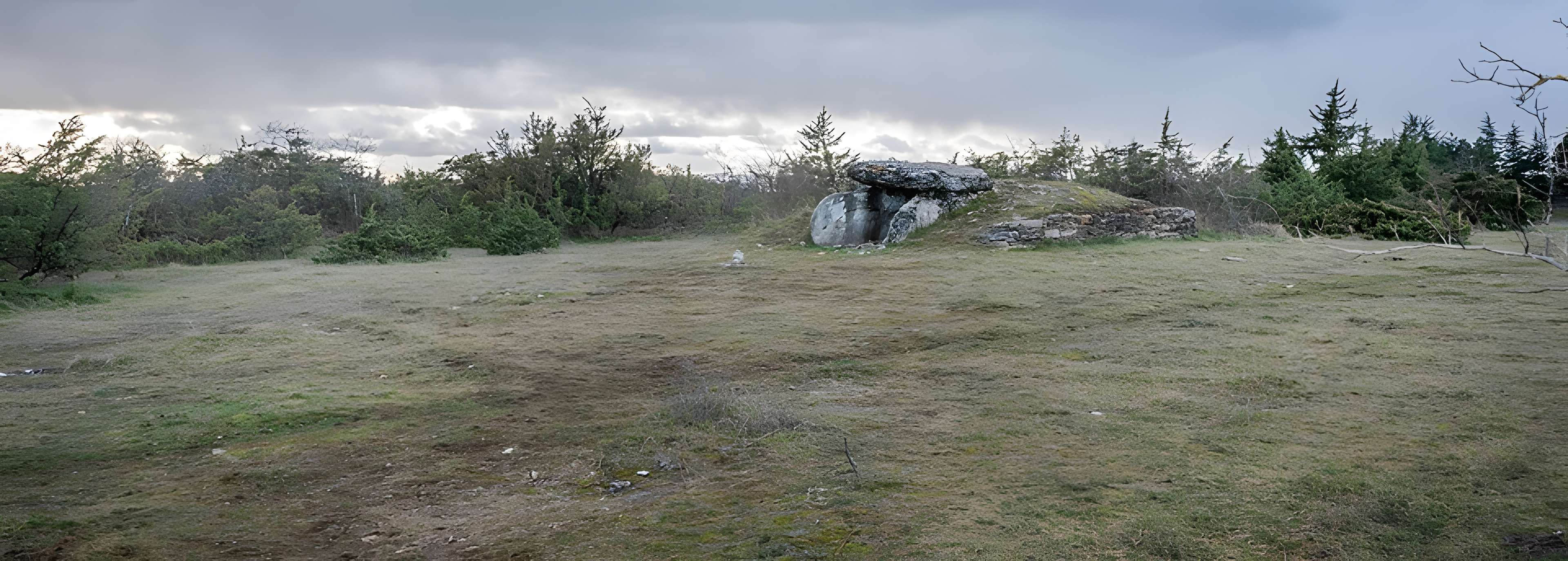 Site archéologique du dolmen I de Montaubert