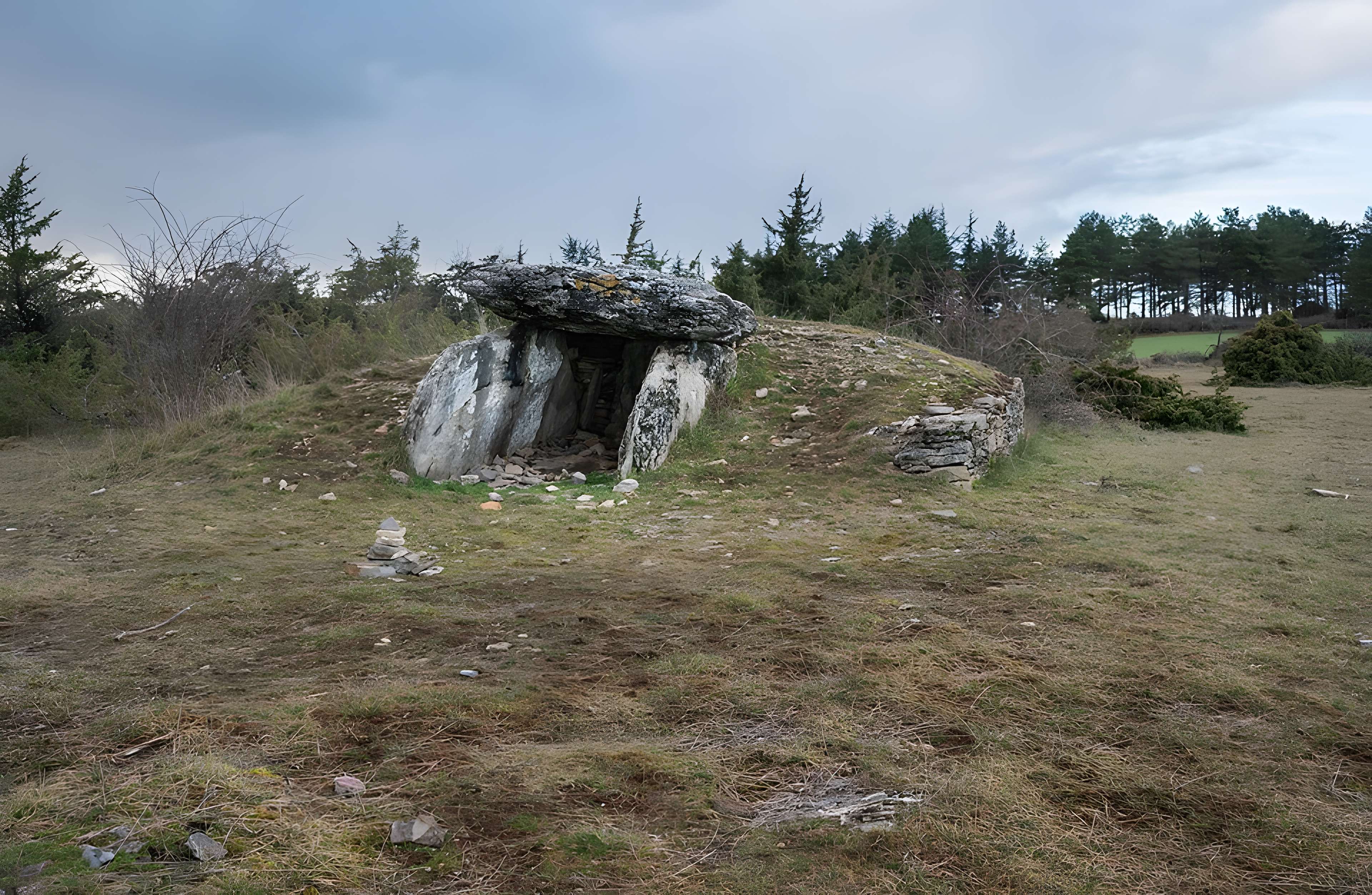 Site archéologique du dolmen I de Montaubert