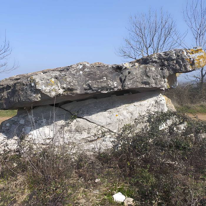 Photo de Site archéologique du dolmen de Pérignagol I