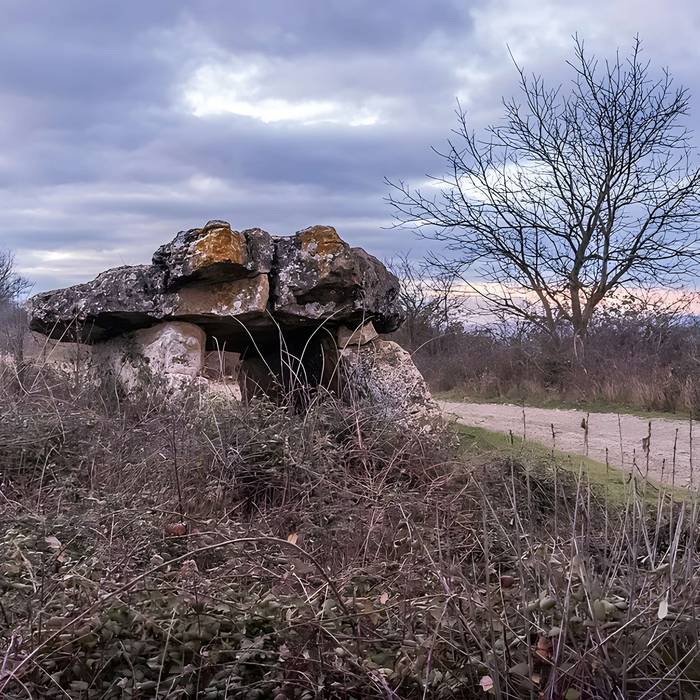 Photo de Site archéologique du dolmen de Pérignagol I