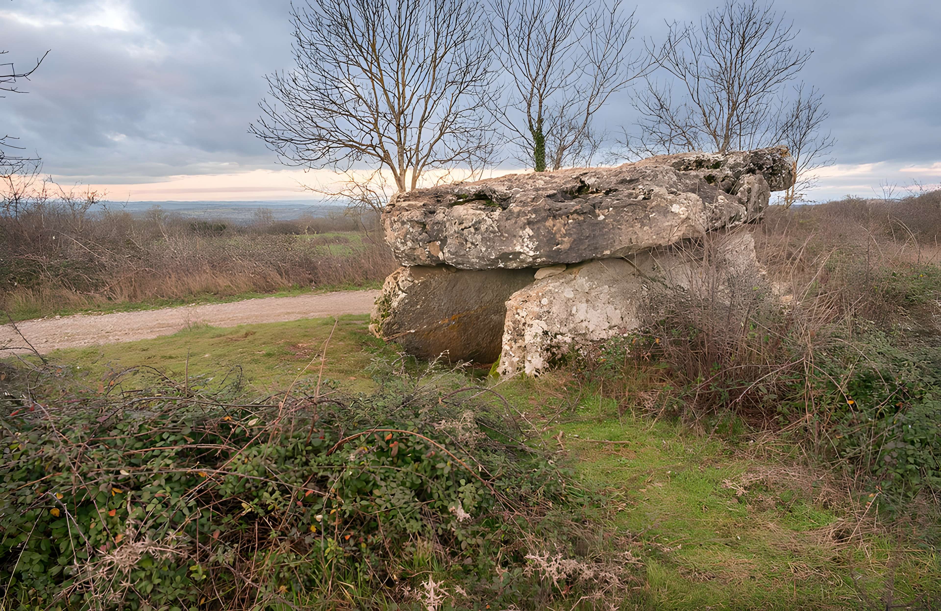 Site archéologique du dolmen de Pérignagol I