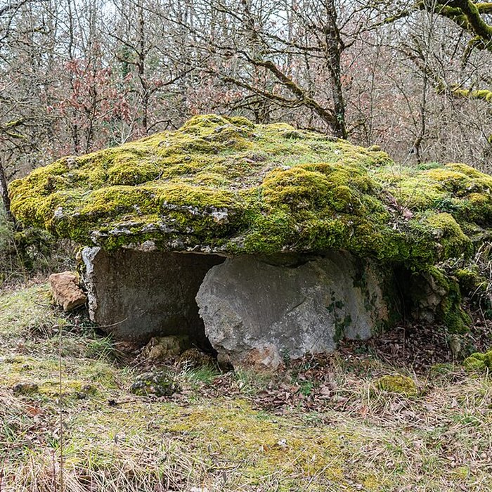 Photo de Site archéologique du dolmen de Seveyrac ou de Perignagol II