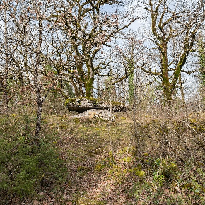 Photo de Site archéologique du dolmen de Seveyrac ou de Perignagol II