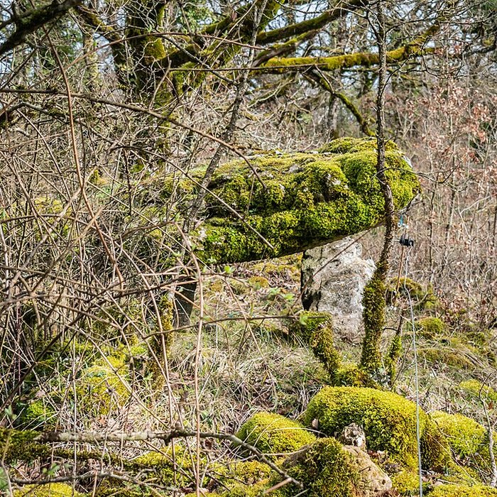 Photo de Site archéologique du dolmen de Seveyrac ou de Perignagol II