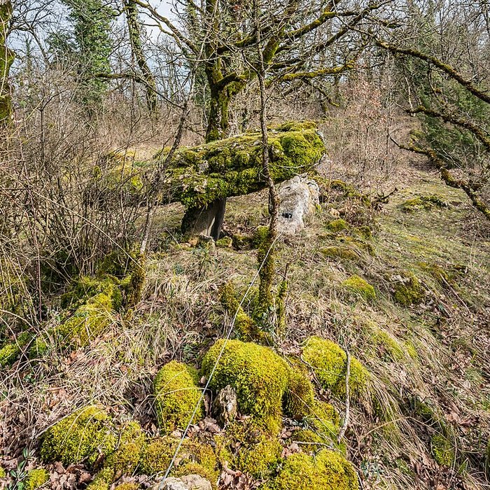 Photo de Site archéologique du dolmen de Seveyrac ou de Perignagol II