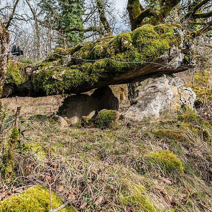 Photo de Site archéologique du dolmen de Seveyrac ou de Perignagol II