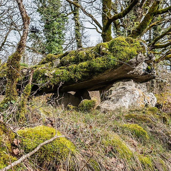 Photo de Site archéologique du dolmen de Seveyrac ou de Perignagol II