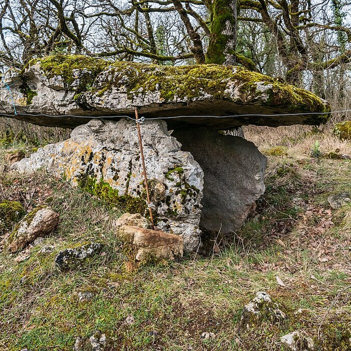 Photo de Site archéologique du dolmen de Seveyrac ou de Perignagol II
