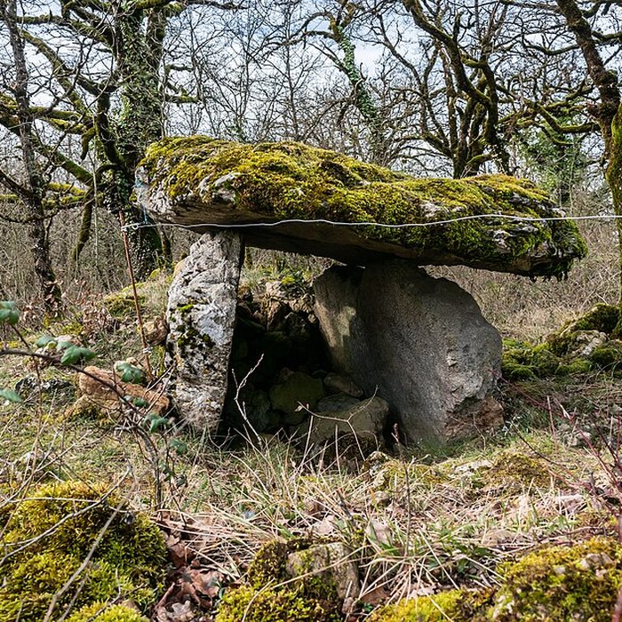 Photo de Site archéologique du dolmen de Seveyrac ou de Perignagol II