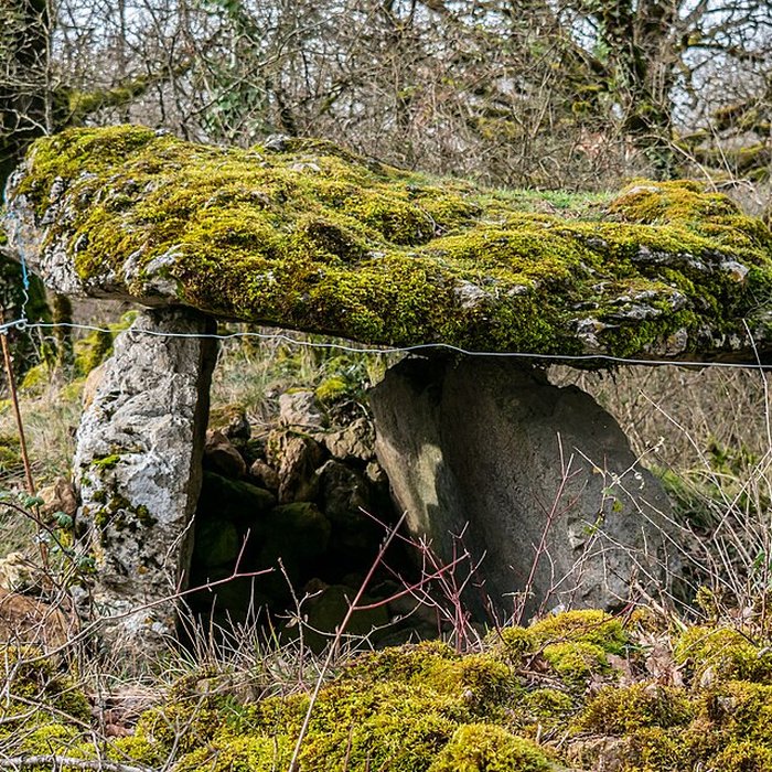 Photo de Site archéologique du dolmen de Seveyrac ou de Perignagol II