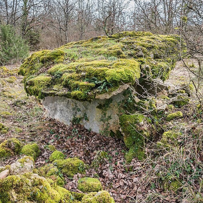 Photo de Site archéologique du dolmen de Seveyrac ou de Perignagol II