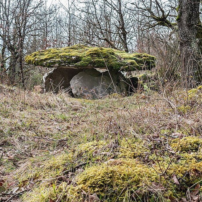 Photo de Site archéologique du dolmen de Seveyrac ou de Perignagol II