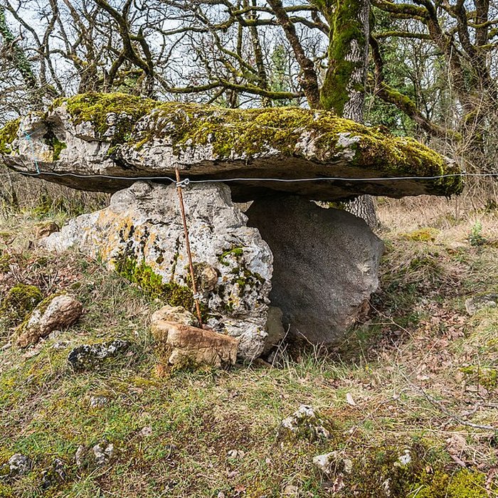 Photo de Site archéologique du dolmen de Seveyrac ou de Perignagol II
